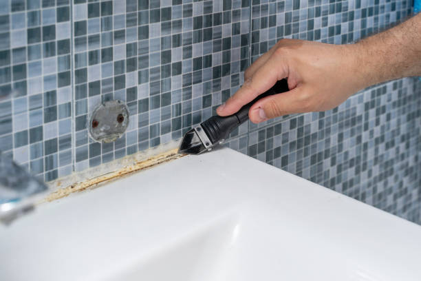 Best Emergency Mold Remediation in Rib Mountain, WI